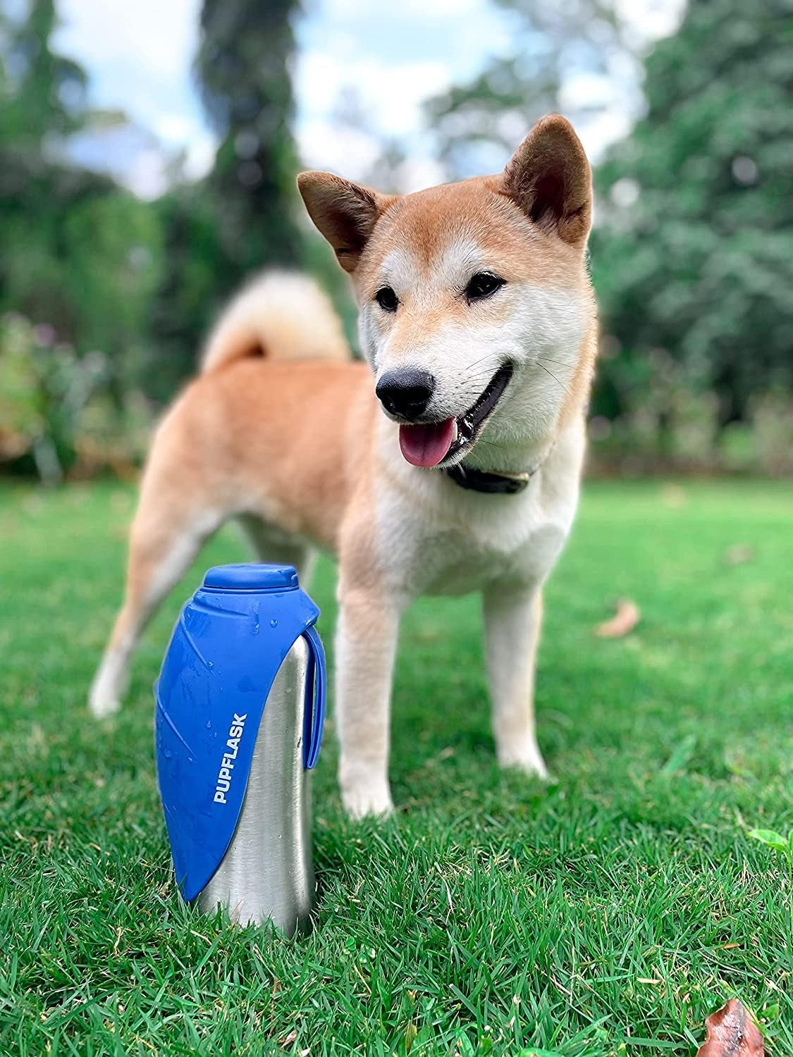 Pupflask Large Dog Water Bottle | 27 or 40 OZ Stainless Steel | Convenient Dog Drink Dispenser | Puppy Travel Water Bowl | Portable Pet Hydration Bottle | Leak Proof | Perfect Size for All Breeds