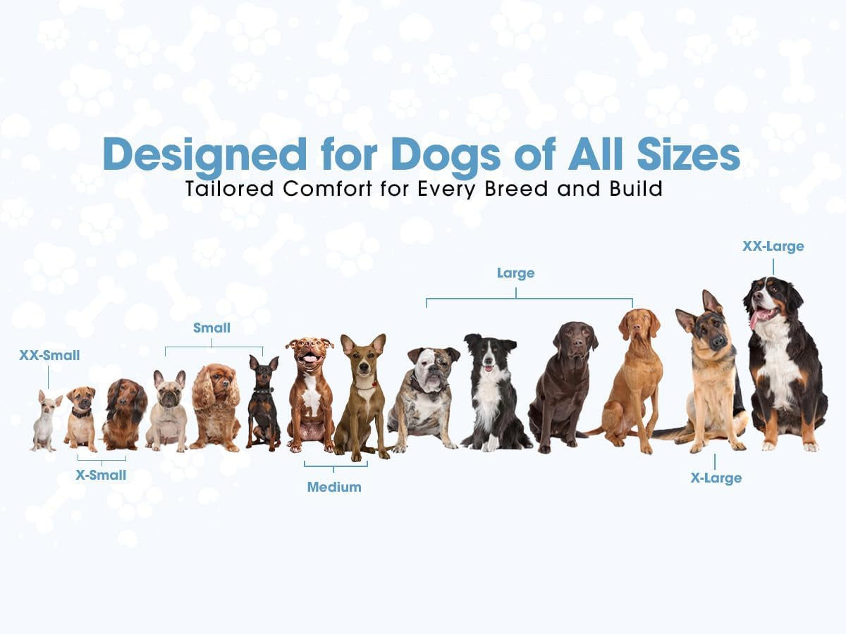 No Pull Reflective Adjustable Dog Harness with Handle- Comfortable Soft All Weather Mesh, Easy on Puppy Harness for Small Medium and Large Dogs (Green) X-Large