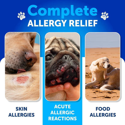 Dog Allergy Relief Chews Itching Skin Relief for Dogs Fish Oil Omega 3