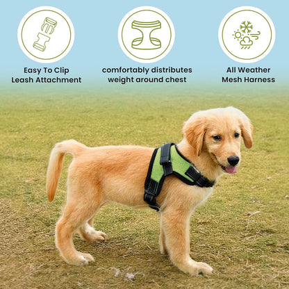 No Pull Reflective Adjustable Dog Harness with Handle- Comfortable Soft All Weather Mesh, Easy on Puppy Harness for Small Medium and Large Dogs (Green) X-Large