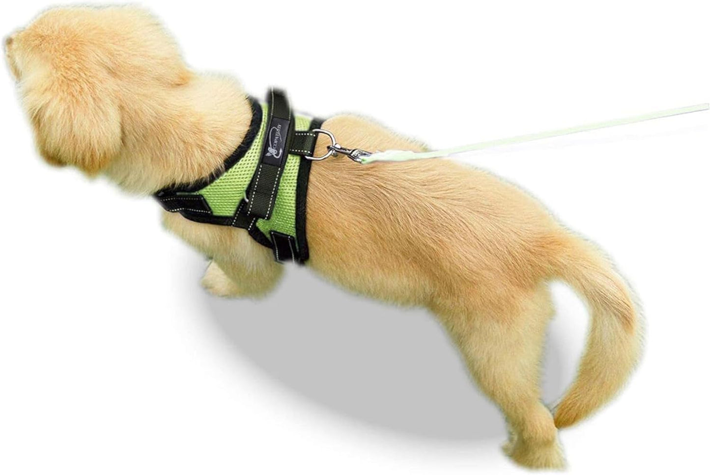 No Pull Reflective Adjustable Dog Harness with Handle- Comfortable Soft All Weather Mesh, Easy on Puppy Harness for Small Medium and Large Dogs (Green) X-Large