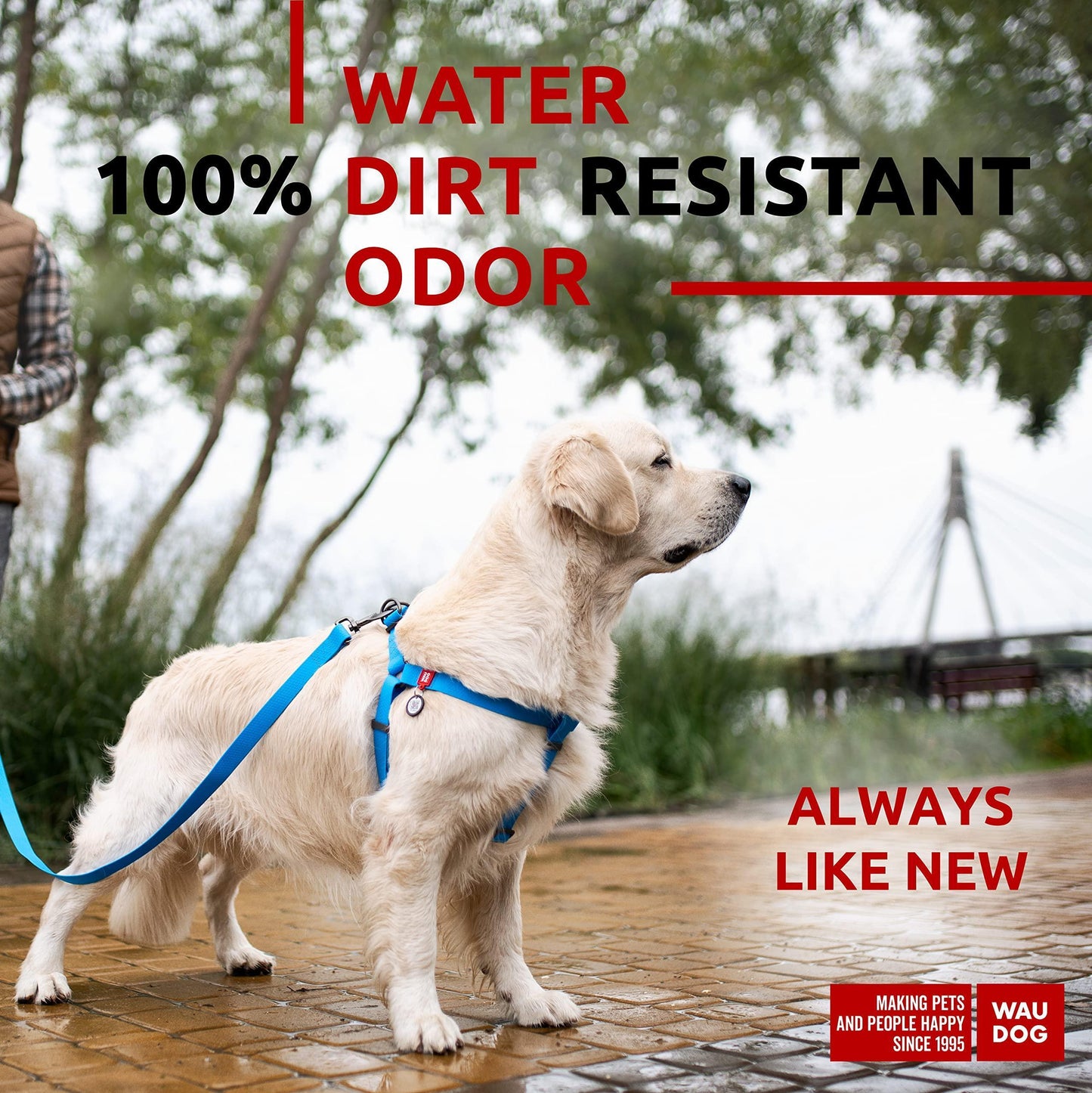 WAUDOG Waterproof Dog Harness Adjustable Dog Harness for Large Dogs Small and Medium Dogs Heavy Duty Dog Harness with Durable Metal Clasp and QR Dog Tag Boy & Girl Dog Harness Blue (24 35In)