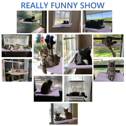 Window Cat Hammock: Suction Cup Hanging Perch Bed with Sill Stand (Violet)