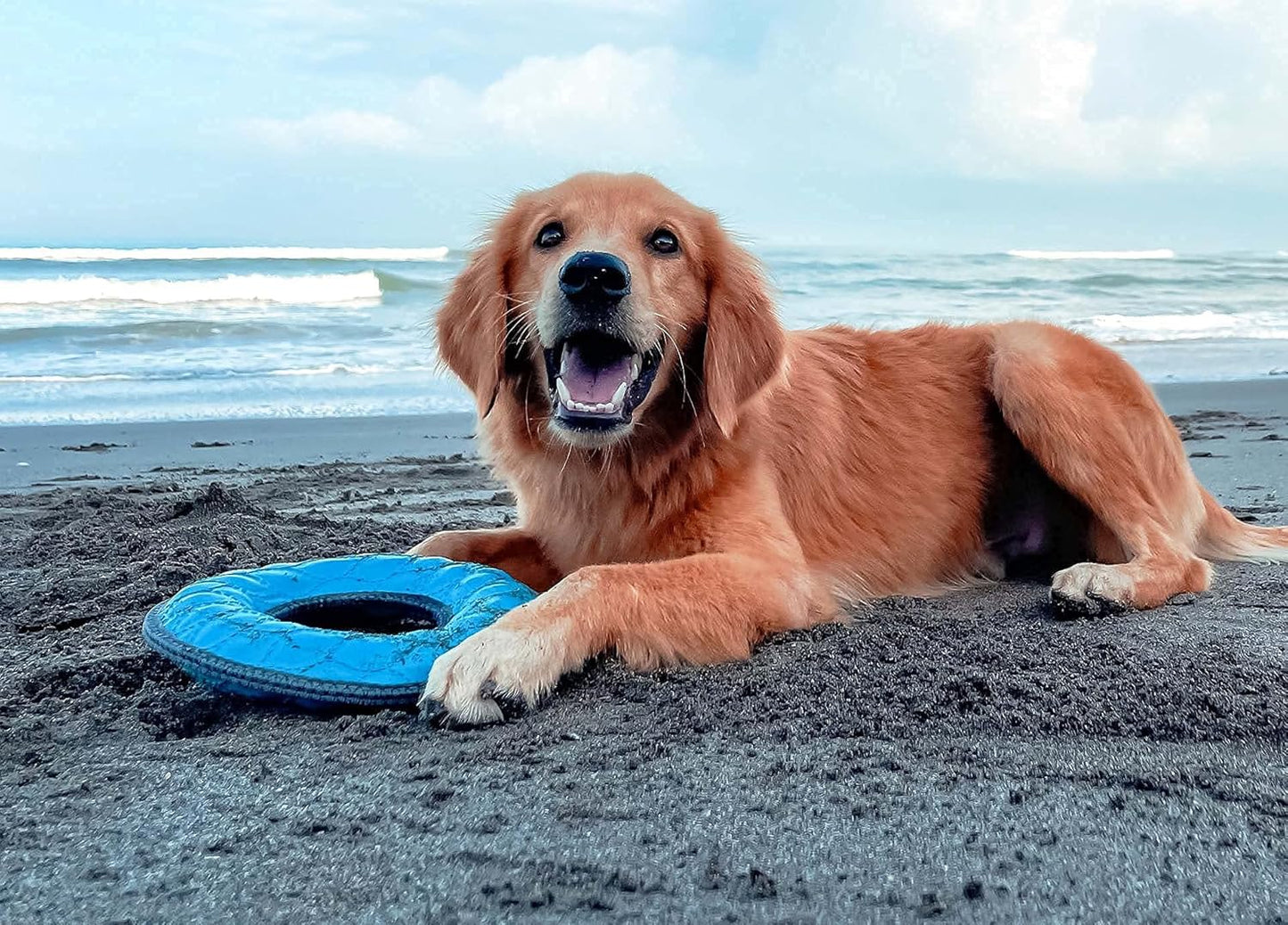 Superchewy Tough Floating Dog Water Toy Strong Natural Rubber | Great Dog Fetch Toy | Pool Swimming Toy for Puppy| Durable Training Toy for Non-Aggressive Chewers