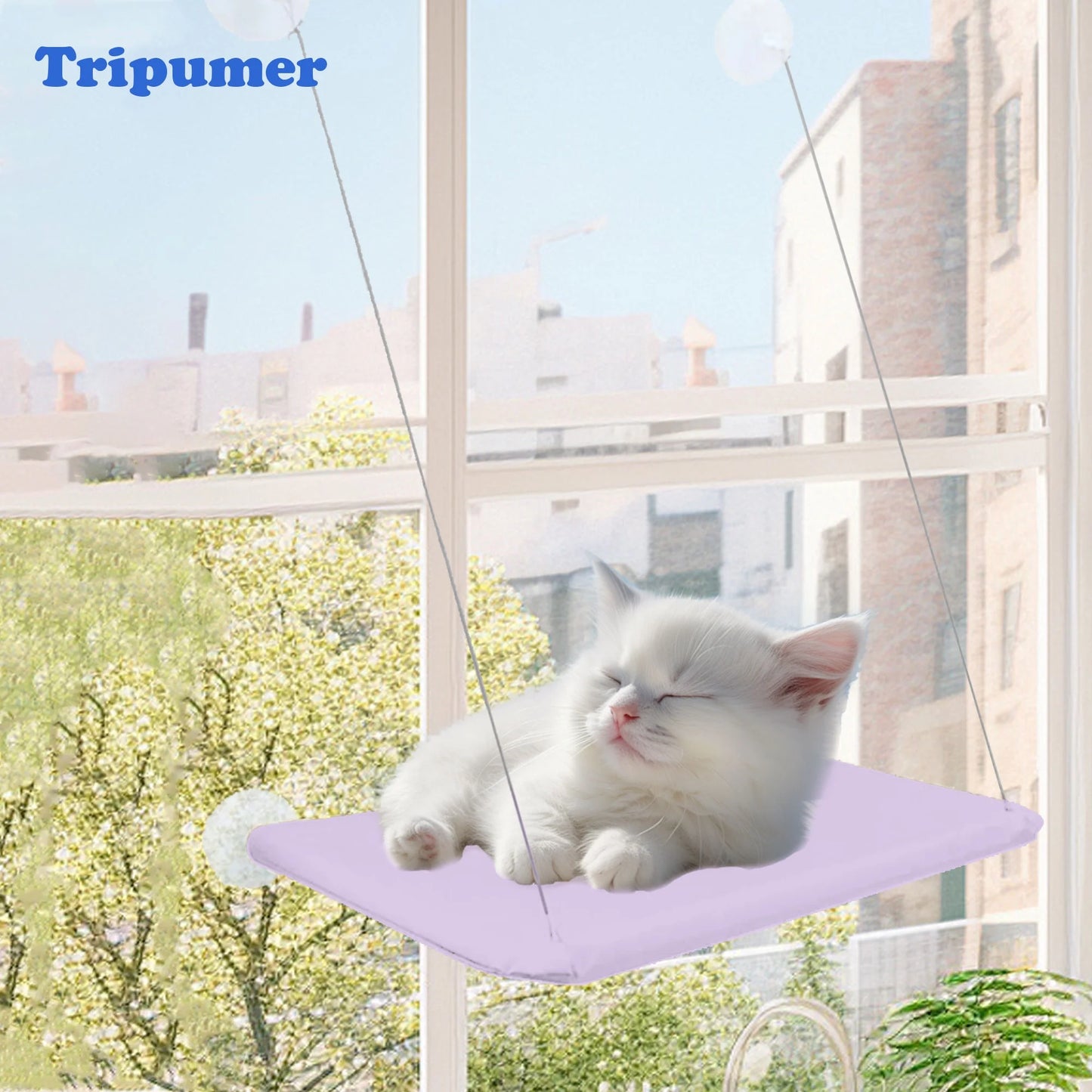 Window Cat Hammock: Suction Cup Hanging Perch Bed with Sill Stand (Violet)