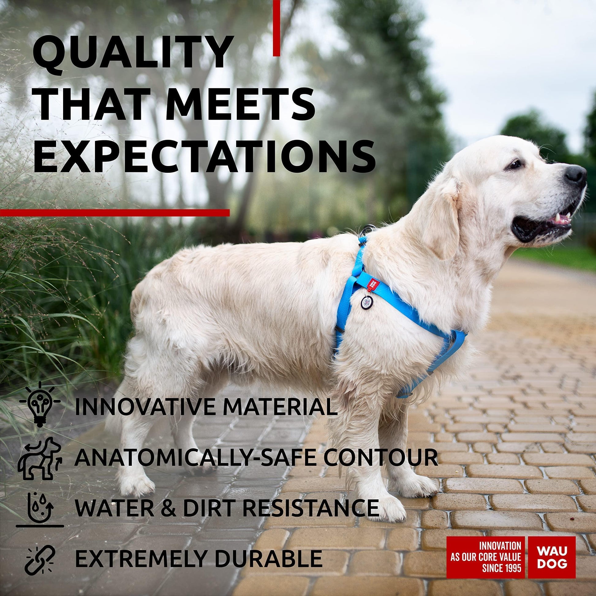 WAUDOG Waterproof Dog Harness Adjustable Dog Harness for Large Dogs Small and Medium Dogs Heavy Duty Dog Harness with Durable Metal Clasp and QR Dog Tag Boy & Girl Dog Harness Blue (24 35In)