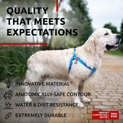 WAUDOG Waterproof Dog Harness Adjustable Dog Harness for Large Dogs Small and Medium Dogs Heavy Duty Dog Harness with Durable Metal Clasp and QR Dog Tag Boy & Girl Dog Harness Blue (24 35In)